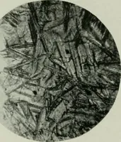 An illustration from Journal (1917)