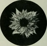 An illustration from Journal (1917)