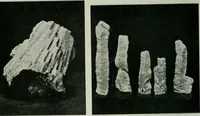 Picture 9 of 236 from Journal (1917), leaf 233