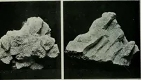 Picture 10 of 236 from Journal (1917), leaf 233