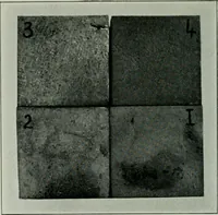 Picture 11 of 236 from Journal (1917), leaf 263
