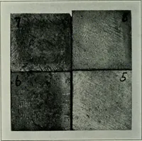 Picture 12 of 236 from Journal (1917), leaf 263