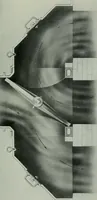 Picture 17 of 236 from Journal (1917), leaf 302