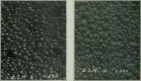 Picture 19 of 236 from Journal (1917), leaf 315