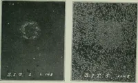 Picture 20 of 236 from Journal (1917), leaf 318