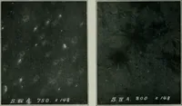 Picture 22 of 236 from Journal (1917), leaf 319