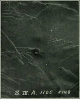 Picture 23 of 236 from Journal (1917), leaf 319