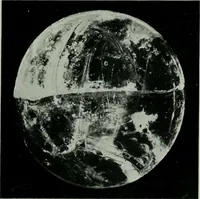 Picture 28 of 236 from Journal (1917), leaf 384