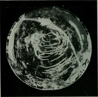 Picture 29 of 236 from Journal (1917), leaf 385