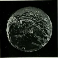Picture 30 of 236 from Journal (1917), leaf 385
