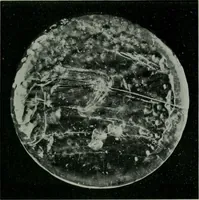 Picture 31 of 236 from Journal (1917), leaf 386