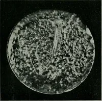Picture 32 of 236 from Journal (1917), leaf 386