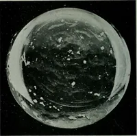 Picture 33 of 236 from Journal (1917), leaf 387
