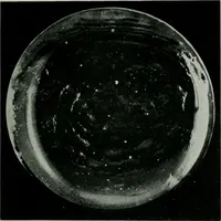 Picture 35 of 236 from Journal (1917), leaf 388
