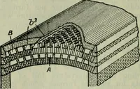 Picture 203 of 236 from Journal (1917), leaf 703