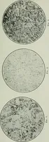 An illustration from Journal (1917)