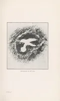 Picture 1 of 2 from Journal of the North-China Branch of the Royal Asiatic Society for the year .. (1906), leaf 45