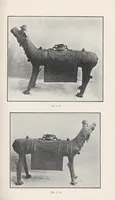 Picture 9 of 9 from Journal of the North-China Branch of the Royal Asiatic Society for the year .. (1906), leaf 233
