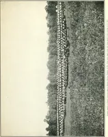 An illustration from The journal of American history (1909)