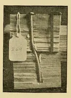 Picture 15 of 18 from Journal of the Association of Engineering Societies (1881), leaf 308