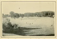 Picture 1 of 19 from Journal of the Association of Engineering Societies (1881), leaf 23
