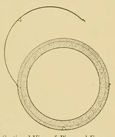 An illustration from Journal of the Association of Engineering Societies (1881)