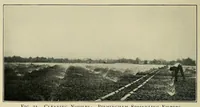 Picture 15 of 18 from Journal of the Association of Engineering Societies (1881), leaf 300