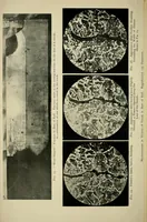 An illustration from Journal of the Association of Engineering Societies (1881)