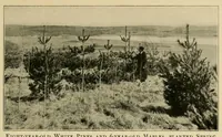 Picture 5 of 19 from Journal of the Association of Engineering Societies (1881), leaf 97