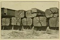 Picture 13 of 16 from Journal of the Association of Engineering Societies (1881), leaf 129