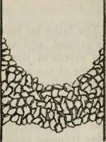 An illustration from Journal of the Franklin Institute; devoted to science and the mechanic arts (1826)