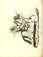 An illustration from Journal of a residence in Ashantee, comprising notes and researches relative to the Gold Coast, and the interior of Western Africa, chiefly collected from Arabic mss. and information communicated by the Moslems of Guinea: to which is prefixed an account of the origin and causes of the present war. Illustrated with a map and plates (1824)