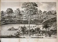An illustration from Journal of a residence in Ashantee, comprising notes and researches relative to the Gold Coast, and the interior of Western Africa, chiefly collected from Arabic mss. and information communicated by the Moslems of Guinea: to which is prefixed an account of the origin and causes of the present war. Illustrated with a map and plates (1824)