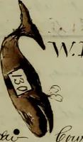 An illustration from [Journal of the Saratoga (Ship) of New Bedford, Mass. mastered by Frederick Slocum, kept by Washington Fosdick, on voyage from April 23, 1857 - December 12, 1858] (1857)