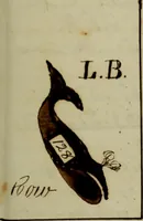An illustration from [Journal of the Saratoga (Ship) of New Bedford, Mass. mastered by Frederick Slocum, kept by Washington Fosdick, on voyage from April 23, 1857 - December 12, 1858] (1857)