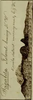 Picture 9 of 29 from [Journal of the Saratoga (Ship) of New Bedford, Mass. mastered by Frederick Slocum, kept by Washington Fosdick, on voyage from April 23, 1857 - December 12, 1858] (1857), leaf 46
