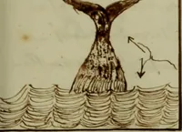 An illustration from [Journal of the Saratoga (Ship) of New Bedford, Mass. mastered by Frederick Slocum, kept by Washington Fosdick, on voyage from April 23, 1857 - December 12, 1858] (1857)