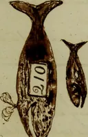 An illustration from [Journal of the Saratoga (Ship) of New Bedford, Mass. mastered by Frederick Slocum, kept by Washington Fosdick, on voyage from April 23, 1857 - December 12, 1858] (1857)