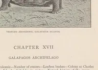 Picture 3 of 5 from Journal of researches into the natural history and geology of the countries visited during the voyage round the world of the H.M.S. 'Beagle' : under the command of Capt. Fitz Roy, R.N. (1890), leaf 435