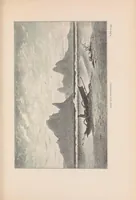 An illustration from Journal of researches into the natural history and geology of the countries visited during the voyage round the world of the H.M.S. 'Beagle' : under the command of Capt. Fitz Roy, R.N. (1890)