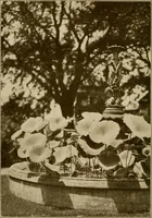 An illustration from The joy of gardens (1911)