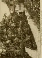 An illustration from The joy of gardens (1911)
