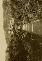 An illustration from The joy of gardens (1911)