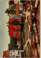 Picture 22 of 51 from The joy of gardens (1911), leaf 160