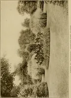 An illustration from The joy of gardens (1911)