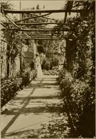 Picture 25 of 51 from The joy of gardens (1911), leaf 179