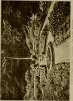 An illustration from The joy of gardens (1911)