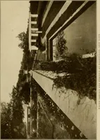 Picture 28 of 51 from The joy of gardens (1911), leaf 200