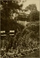 An illustration from The joy of gardens (1911)