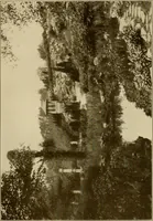 An illustration from The joy of gardens (1911)